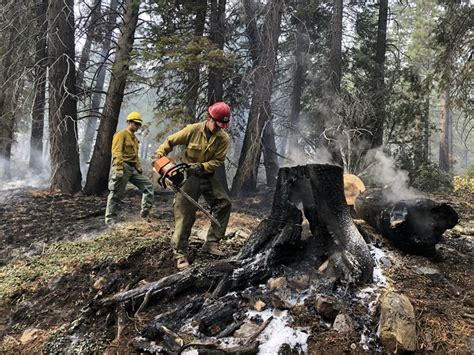 Should California Deliberately Set Its Forests On Fire Some Experts