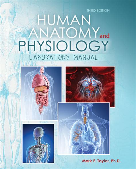 Anatomy And Physiology Manual