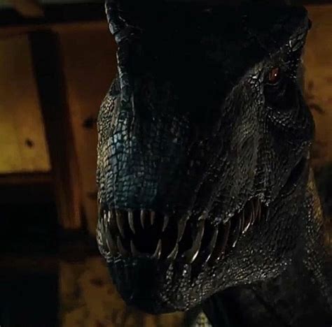 Image Indoraptor Close Up Jurassic Park Wiki Fandom Powered