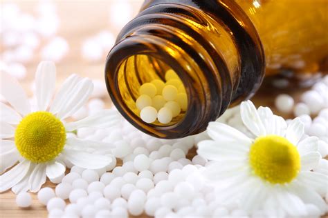 Free photo: Homeopathy Medicines - Cure, Flower, Homeopathy - Free ...