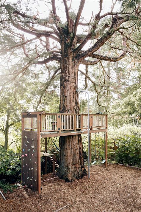 Incredible Treehouse On Ground Ideas Exterior Colour Paint