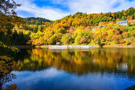 Beautiful Reflection Of Colorful Trees In Water Of Lake During Autumn