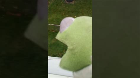 Kermit The Frog Got Very Mad Youtube
