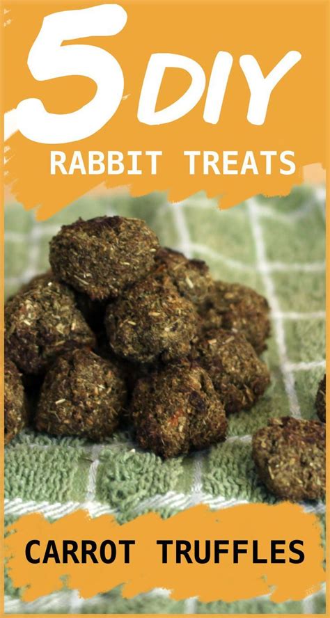 5 Homemade Rabbit Treats To Make For Your Bunny In 2020 Homemade