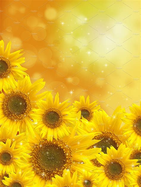 Sunflowers on blurred background | High-Quality Abstract ...