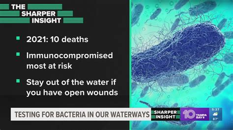 How Bacteria In Florida Water Could Be Harmful Even Deadly