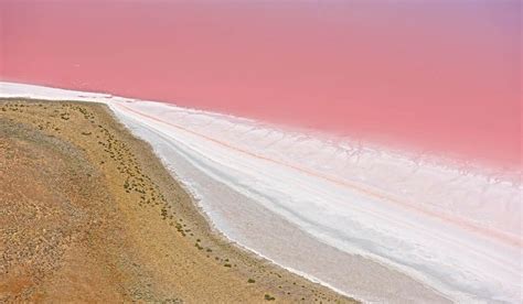 Everything You Need To Know About South Australias Bright Pink Lakes