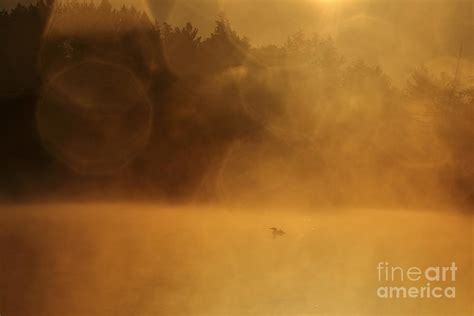 Sunrise Foggy Morning Photograph By Teresa Mcgill Fine Art America