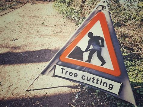 sage and rosemary signage wrong tree gardening staines london uk lavoriincorso signage