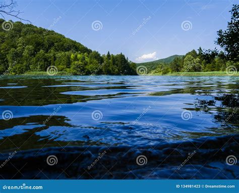 A Forest And A Lake With Clear Water Stock Image Image Of Rock