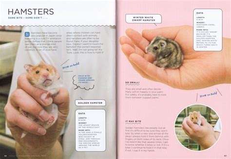 How To Hold Animals The Calming Art Of Connecting With Creatures Big