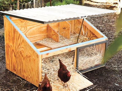 How To Build A Chicken Coop Because Your Backyard Needs Chickens