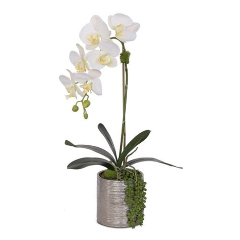 Real Touch White Orchid With Succulent Arrangement In Round Silver Pot 12w X 6d X 18h