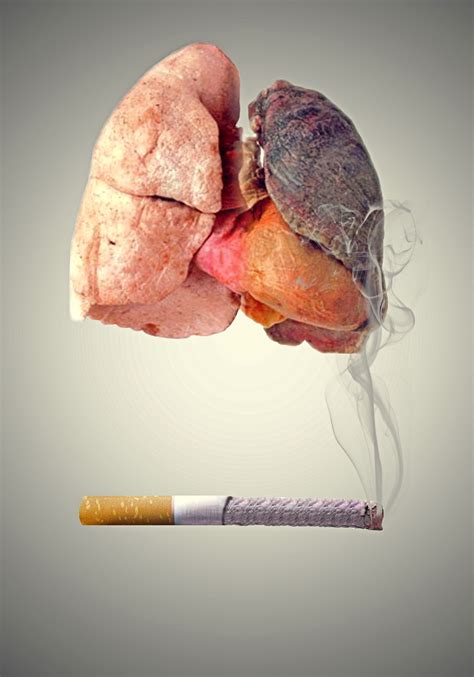 Smokers Lungs Vs Normal Healthy Lungs
