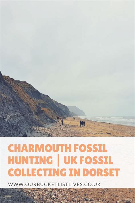 Charmouth Fossil Hunting Uk Fossil Collecting In Dorset Fossil
