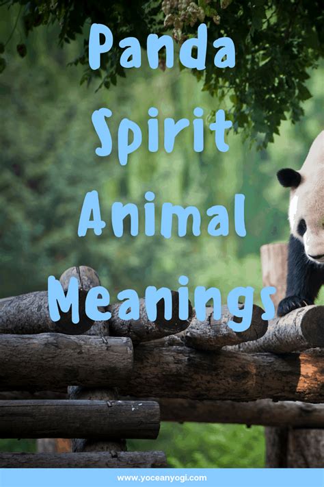 The Panda Spirit Animal And Totem Meanings Yocean Yogi