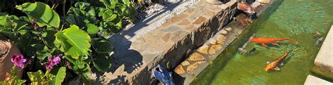 Check spelling or type a new query. La Masia | Hotel i Apartaments a l'Estartit Costa Brava