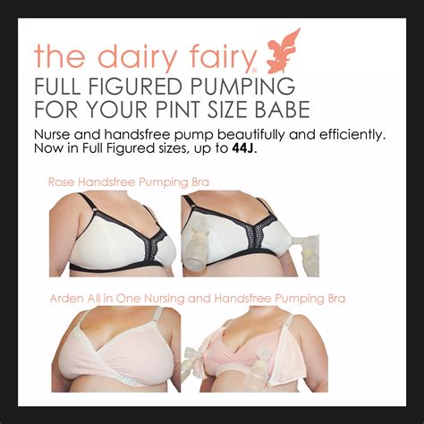 The Dairy Fairy Arden And Rose Nursing Pumping Bras For Curvy Moms