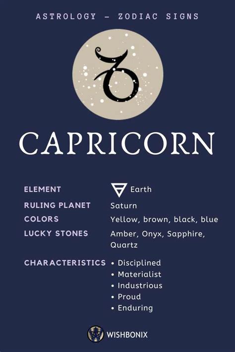 Sun Signs In Astrology And Their Meaning Capricorn Sun Sign