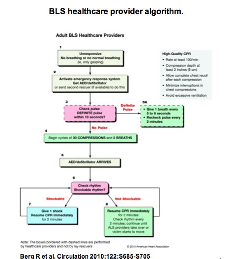 Adult Bls Algorithm Acls Algorithm Basic Life Support Critical Care