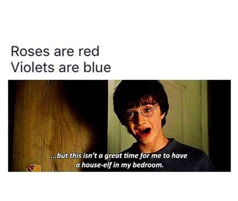 Post Your Best Roses Are Red Memes Fandom