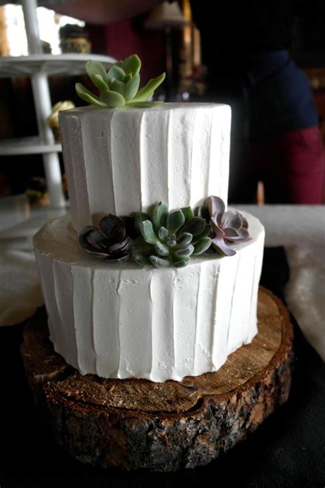 Succulent 2 Tier Wedding Cake Rustic On The Wood Plate 2 Tier Wedding