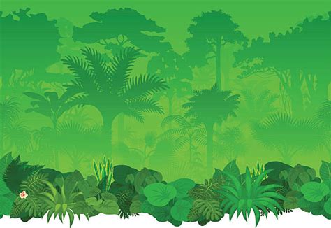 Jungle Illustrations Royalty Free Vector Graphics And Clip Art Istock