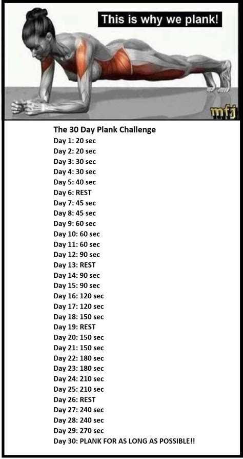 The 30 Day Plank Challenge Great For The Core In 2023 Fitness Und