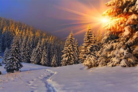 Winter Snow Landscape Nature Wallpapers Hd Desktop And Mobile