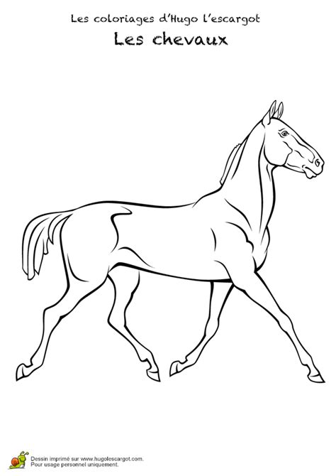 Image coloriage magique gratuit coloriage barbie cheval. Coloriage chevaux realistes 28 sur Hugolescargot.com ...
