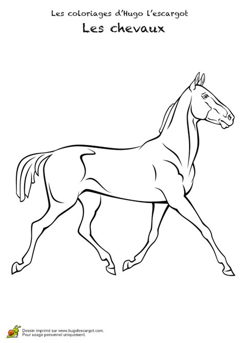 Coloriages à imprimer et en ligne activités. Coloriage chevaux realistes 28 sur Hugolescargot.com ...