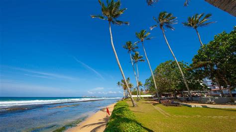 Citrus Hikkaduwa Resort Sri Lanka Tarifs 2023 Mis à Jour 30 Avis