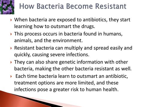Ppt Antibiotic Resistance Powerpoint Presentation Free Download Id