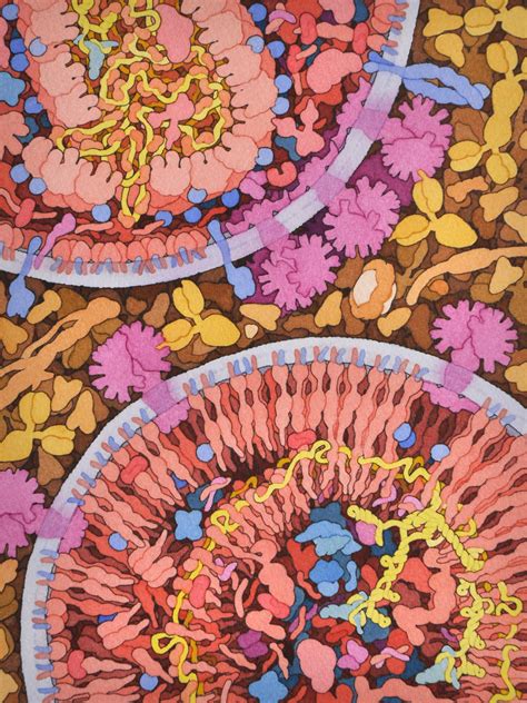 David S Goodsell The Machinery Of Life — Dop