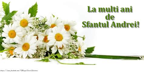 Felicitari De Sfantul Andrei La Multi Ani De Sfantul Andrei