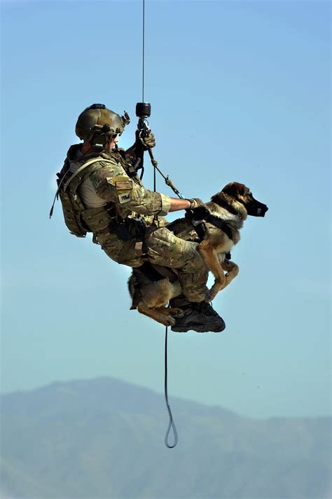 Hd Wallpaper Male Soldier Carrying A Dog On Outdoors Dog Rescue