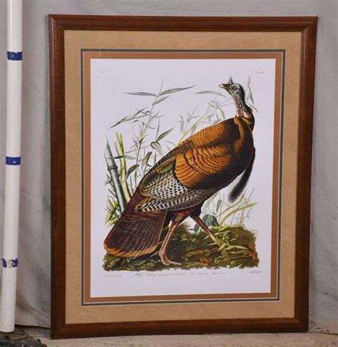 large framed print wild turkey by john j audubon 1054 208 r h lee and co auctioneers