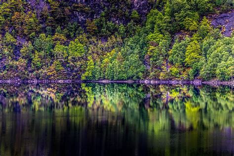 Hd Wallpaper Norway Forest Lake Reflection Landscape Tree Summer
