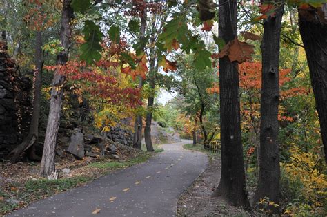 Fall Foliage In Parks Nyc Parks