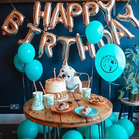 Awesome Dog Birthday Decoration Ideas Dog Birthday Pictures Puppy
