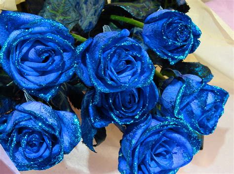 For Sweet Sister Jackii Blue Roses Sparkling Green Flowers Hd