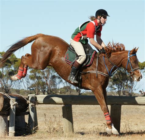 Managing Injuries In Horse Riders Applied Posture Riding
