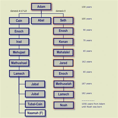 Arbre Genealogique Adam Eve