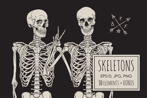 Skeletons Illustrations Creative Market