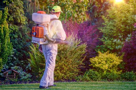 Residential Pest Control Centennial Co Pest Removal Services