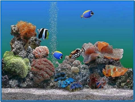 New Animated 3d Aquarium Screen Seaver Full Screen Latest Version