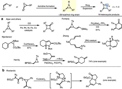Transformations Of Aziridines To N Heterocycles A Typical Transition