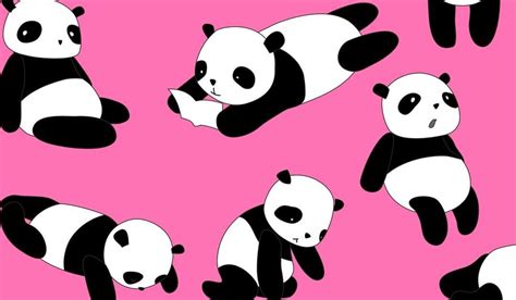 Kartun Panda Lucu Eren Gambar