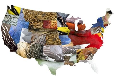 50 State Flowers State Tree State Birds And 50 State Nicknames Usa