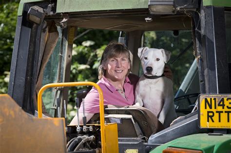 Dogs In Tractors Warning After Farm Incident Farminguk News